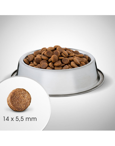 PERFECT FIT Hühnerfutter für ausgewachsene Hunde mittlerer und großer Rassen 6 kg