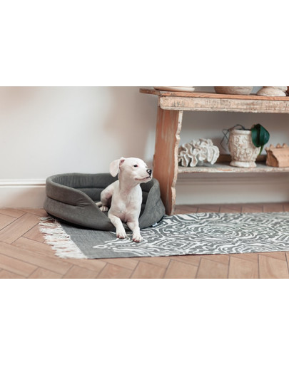 FERA Hundebett 47x38x15 cm oval mit Kissen grau