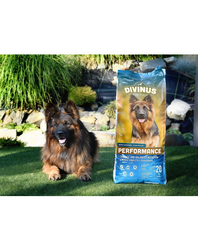 DIVINUS Performance für Deutsche Schäferhunde und aktive Hunde 20 kg