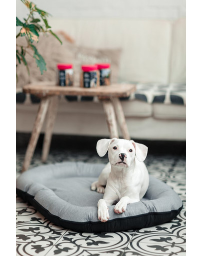 FERA Sky Pontoon Hundebett hellgrau L 100 x 73 cm