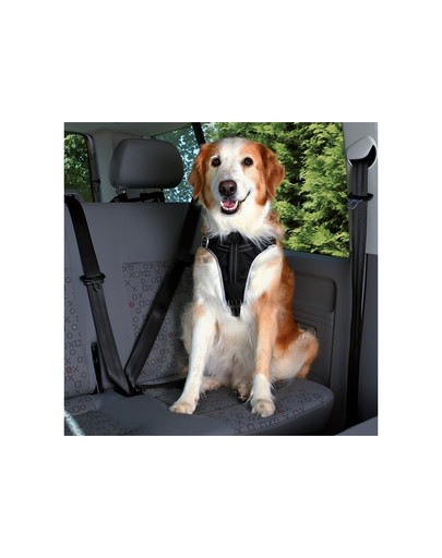 TRIXIE Autogeschirr Dog Comfort (M) 50–65 cm / 20 mm