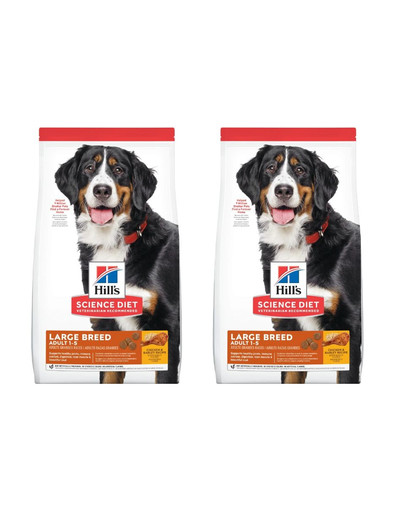 HILL'S Science Plan Adult Dog Large Dry Chicken Huhn, große Hunderassen 28 kg (2x14 kg)