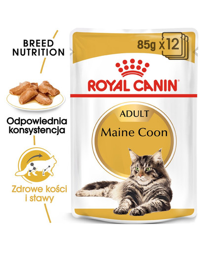 ROYAL CANIN Mainecoon 48x85 g