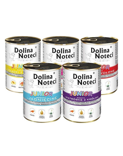 DOLINA NOTECI Premium Junior Mix 12x400g