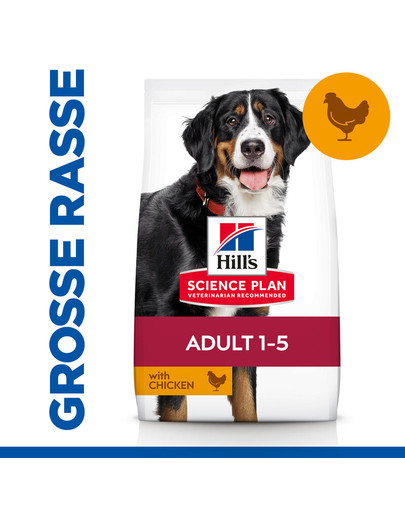 HILL'S Science Plan Adult Dog Large Dry Chicken 14 kg
