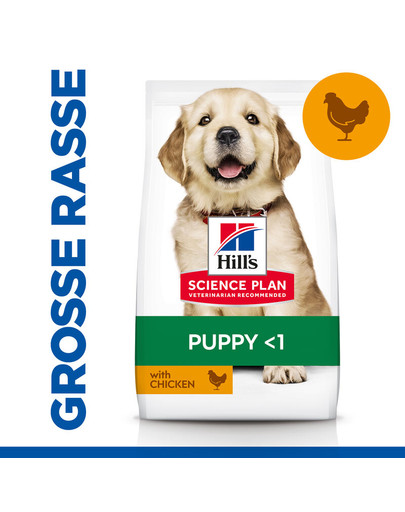 HILL'S Puppy Large Breed Chicken 14,5 kg
