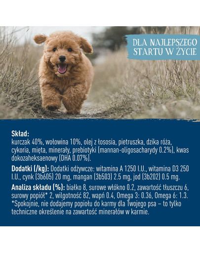 BUTCHER'S Original Junior, Hundefutter, Rindfleisch in Sülze, 400g
