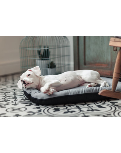 FERA Sky Pontoon Hundebett hellgrau XL 116 x 83 cm