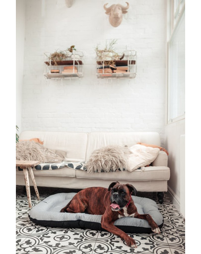 FERA Sky Pontoon Hundebett hellgrau XL 116 x 83 cm