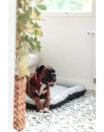 FERA Sky Pontoon Hundebett hellgrau XL 116 x 83 cm