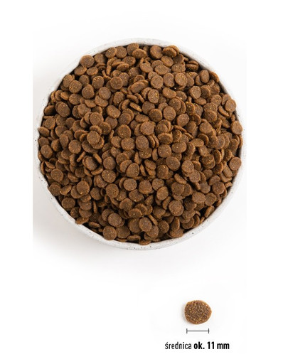 ACANA Puppy & junior dog 11.4 kg