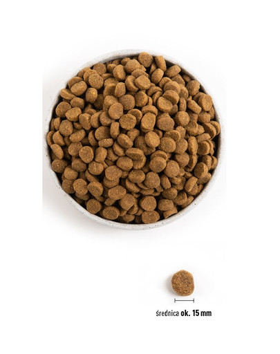 ACANA Puppy large breed 17 kg