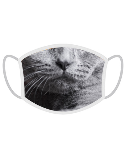 FERA Schutzmaske Britisch Kurzhaar Katze