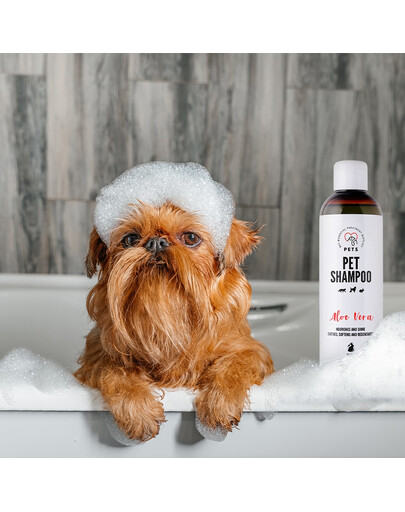 PETS Shampoo Aloe Vera Anti-Schuppen-Shampoo 250 ml