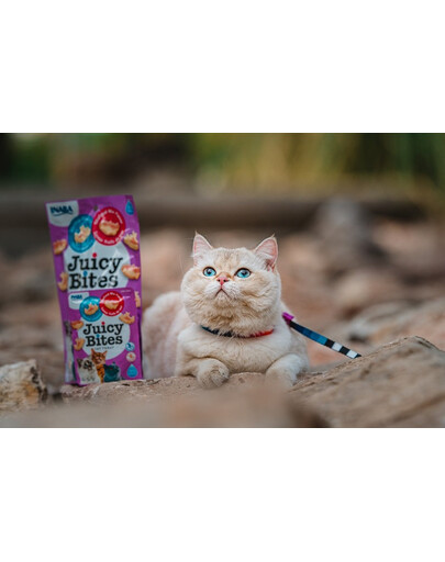 INABA Juicy Bites Katzen Leckerlie Knabbertaschen mit saftigem Kern in lustigen Formen - Jakobsmuschel und Krabbe 33,9g