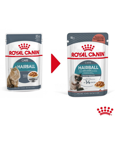 ROYAL CANIN Hairball Care 48x 85g