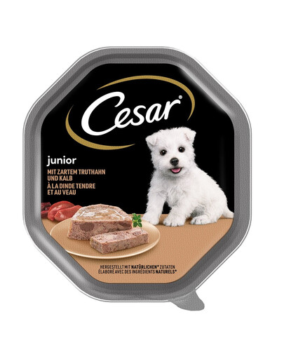 CESAR Junior 150 g Schale Puten- und Kalbfleischpastete für Welpen