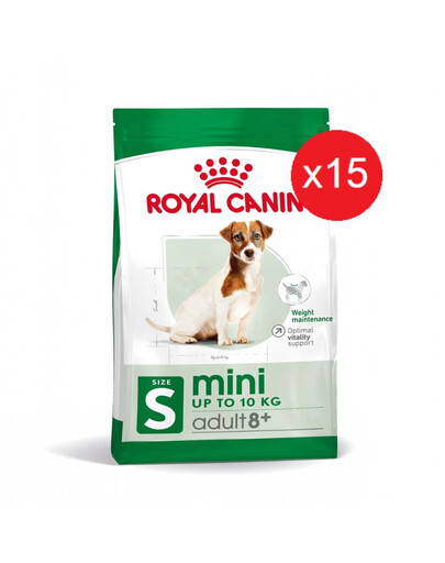 ROYAL CANIN Mini Adult 8+ Trockenfutter für ältere kleine Hunde (15 x 0,8 kg)