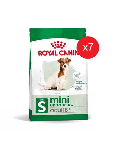 ROYAL CANIN Mini Adult 8+ Trockenfutter für ältere kleine Hunde (7 x 2 kg)