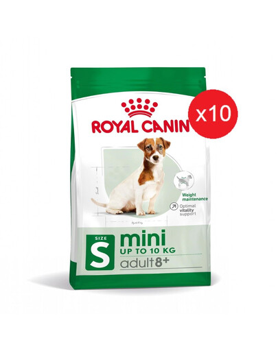 ROYAL CANIN MINI Adult 8+ Trockenfutter für ältere kleine Hunde 8 kg (10 x 0,8 kg)
