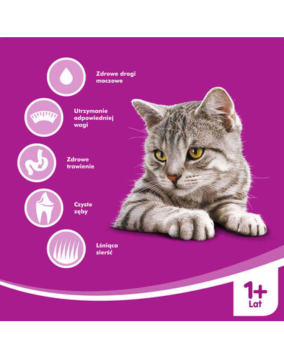 WHISKAS Sterile 1.4 kg: Trockenfutter mit Huhn für Katzen nach der Sterilisation