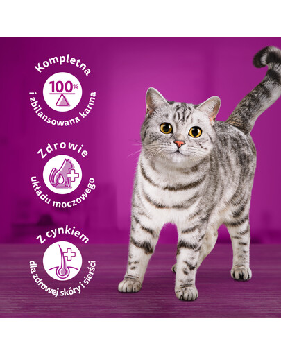 WHISKAS Tasty Mix Cremige Variationen mit Huhn, Lamm und Pute in Sauce 12x85g