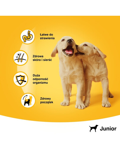 PEDIGREE mit Huhn in Gelee 400 g