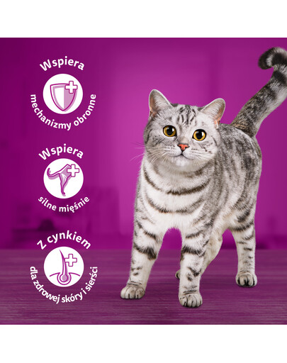 WHISKAS Adult 85g: Nassfutter für adulte Katzen mit Huhn in Gelee