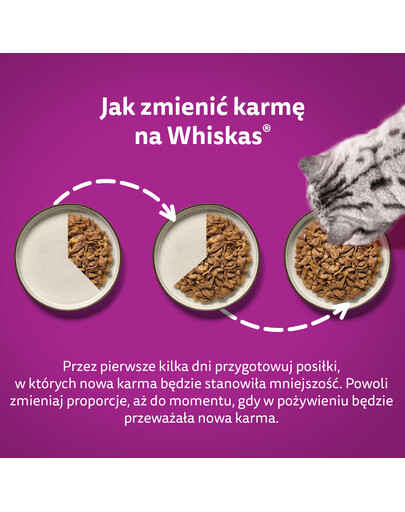 WHISKAS Adult 85g: Nassfutter für adulte Katzen mit Huhn in Gelee