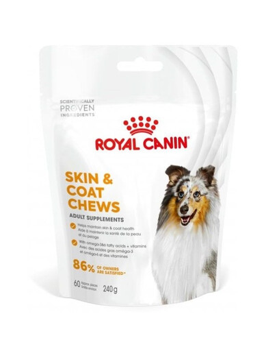 Skin Coat Adult Dog Supplements 240g suplement na zdrowie skóry i sierści dla dorosłych psów