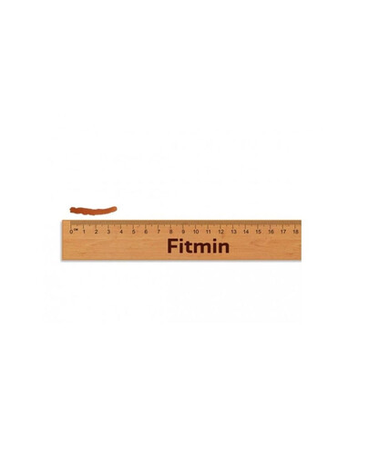 For Life Salmon Jerky Łosoś w mini paski dla psów i kotów 70g