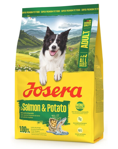 Salmon and Potato Adult 3kg bezzbożowa karma dla psów z wrażliwym żołądkiem