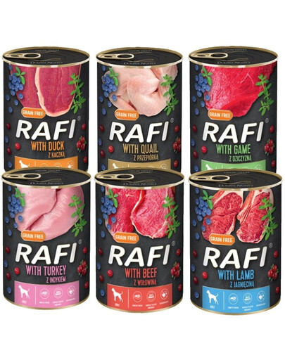 DOLINA NOTECI Rafi Premium Mix smaków 48x400g