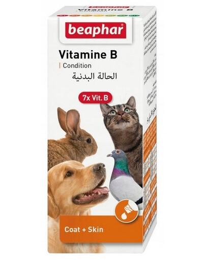 BEAPHAR Vitamin B Complex Zestaw Witamin B 50 ml