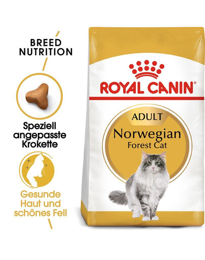 ROYAL CANIN Norvegian Trockenfutter für adulte Norwegische Waldkatzen 4x2 kg