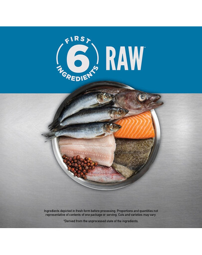 6 Fish Dog 2 kg