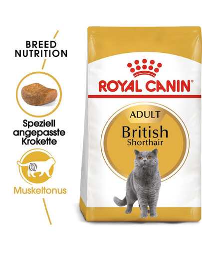 ROYAL CANIN British Shorthair Trockenfutter für adulte Britisch Kurzhaar Katzen 6x400 g