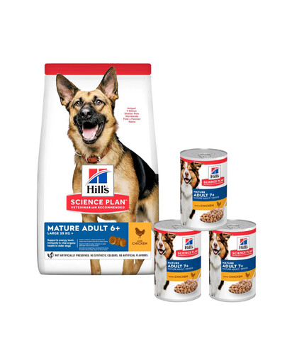 HILL'S Science Plan Canine Mature Adult 6+ Large breed Chicken für ältere Hunde großer Rassen 18 kg + 3 Dosen GRATIS