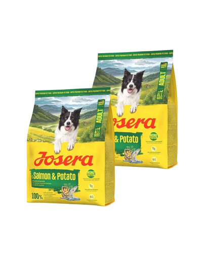 JOSERA Salmon and Potato Adult getreidefreies Futter für Hunde mit empfindlichem Magen 2x900g