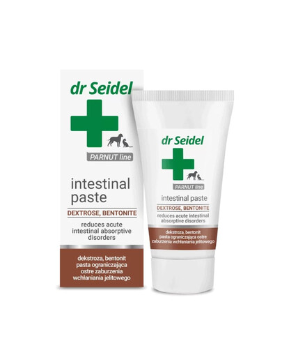 DR SEIDEL Intestinal Paste bei Darmstörungen 40g