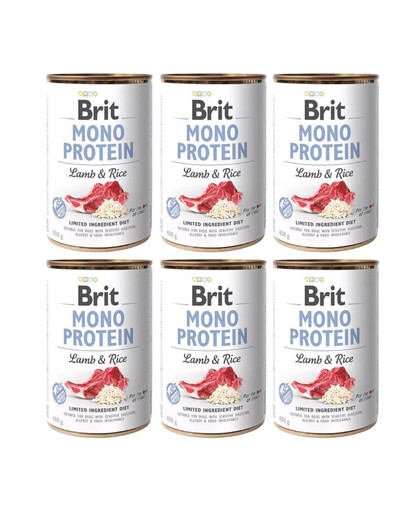 BRIT Mono Protein Lamb & Rice 6x400 g monoproteinowa karma jagnięcina i ryż