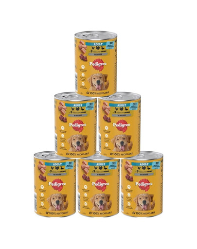 PEDIGREE Adult Nassfutter mit Geflügel in Mousse für adulte Hunde 6x400g