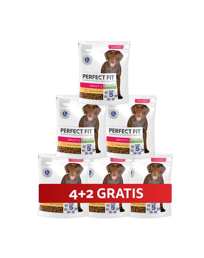 PERFECT FIT Adult 1+ sucha karma pełnoporcjowa dla dorosłych psów dużych ras bogata w kurczaka 6 x 825 g 4+2 GRATIS
