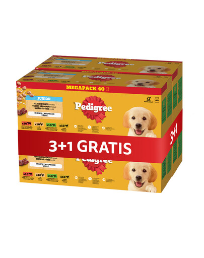 PEDIGREE Junior Mix Geschmacks mit Reis in Gelee 4 x 40x100 g