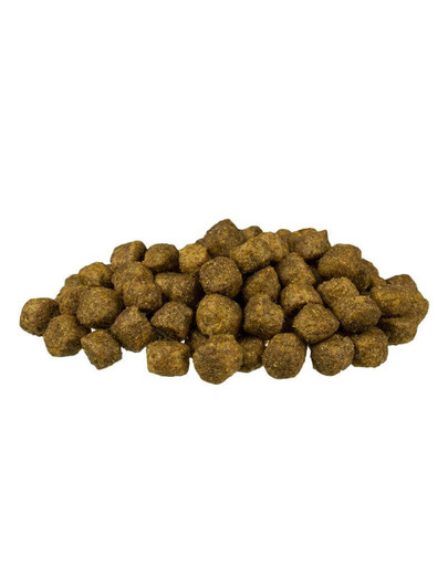 BOSCH Puppy 7.5 kg