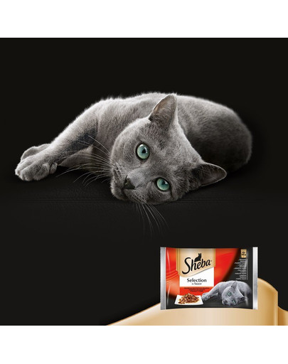 SHEBA Selection 12x85 g: Nassfutter für adulte Katzen mit Huhn und Rind, Huhn, Lamm, Ente und Truthahn in Soße