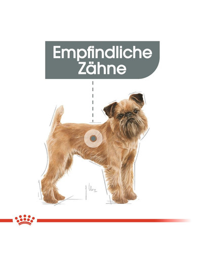 ROYAL CANIN DENTAL CARE MINI Trockenfutter für kleine Hunde mit empfindlichen Zähnen 1 kg