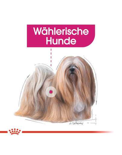 ROYAL CANIN EXIGENT MINI Trockenfutter für wählerische kleine Hunde 3 kg