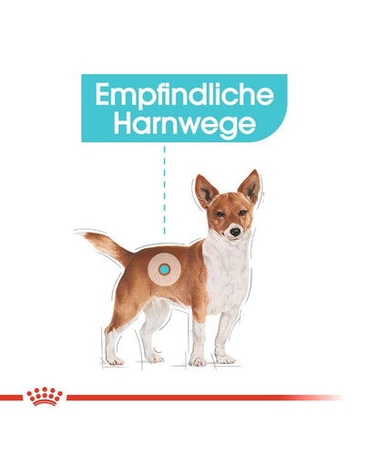 ROYAL CANIN Urinary Care MINI Trockenfutter für kleine Hunde mit empfindlichen Harnwegen 3 kg