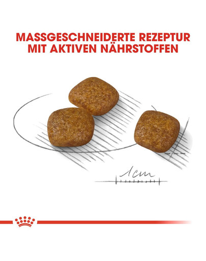 ROYAL CANIN Urinary Care MINI Trockenfutter für kleine Hunde mit empfindlichen Harnwegen 3 kg